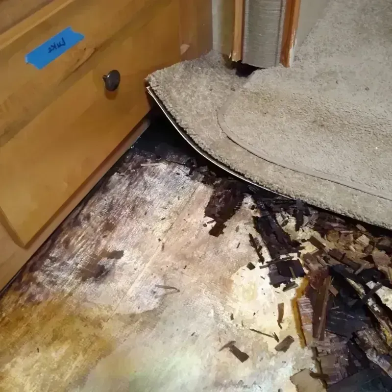 Wood Floor Water Damage in East Chicago, IN